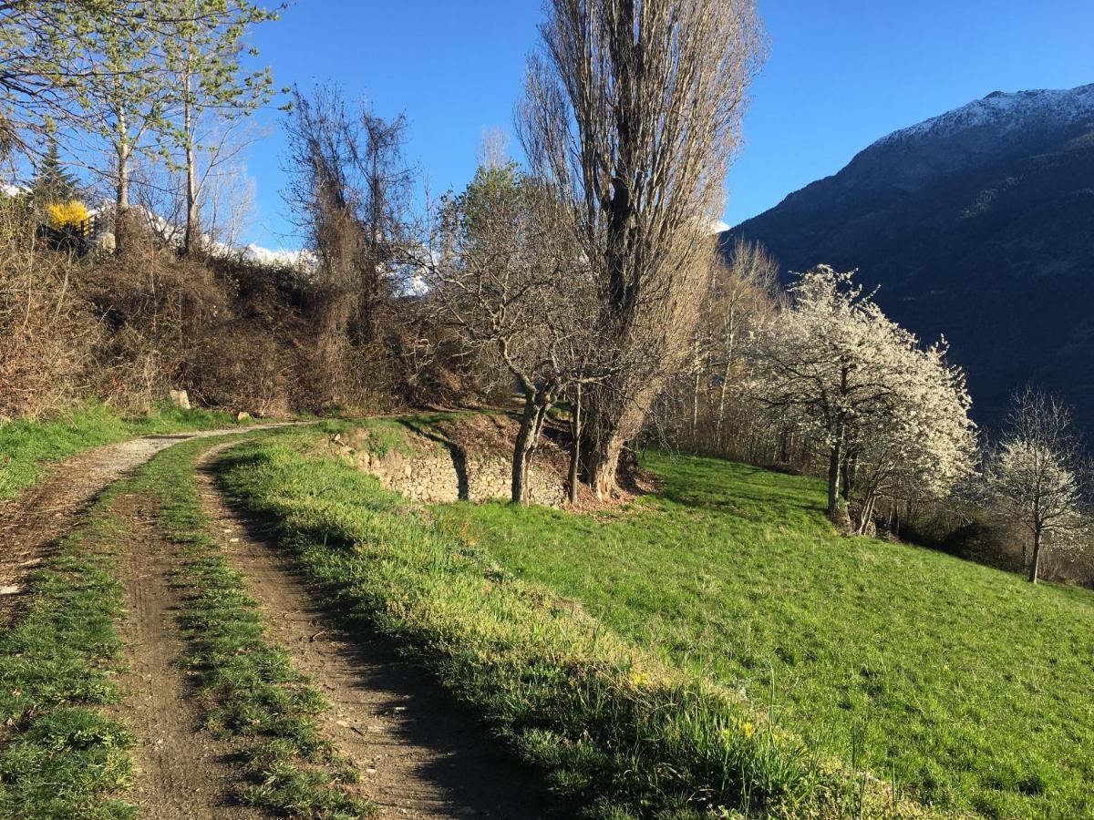 La Casa Del Bosco Lejlighed Aosta Eksteriør billede