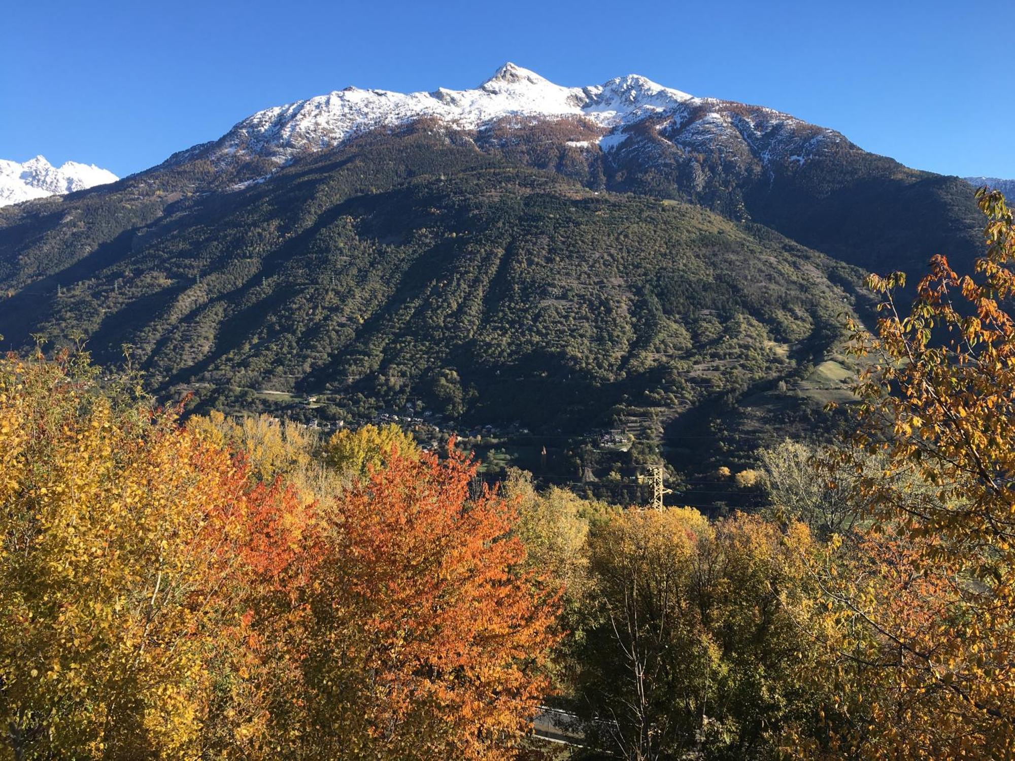 La Casa Del Bosco Lejlighed Aosta Eksteriør billede