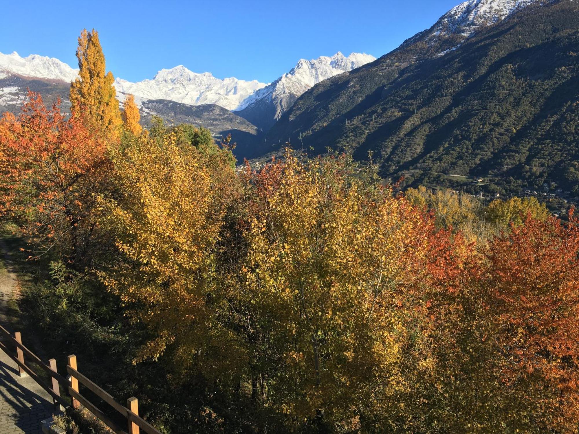 La Casa Del Bosco Lejlighed Aosta Eksteriør billede